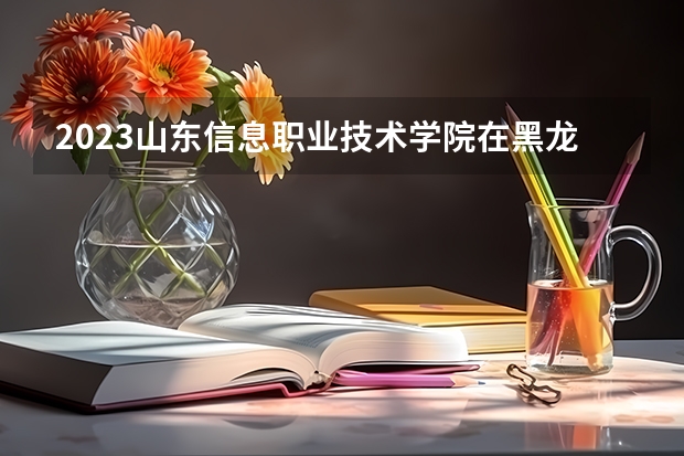 2023山东信息职业技术学院在黑龙江高考各专业计划招多少人