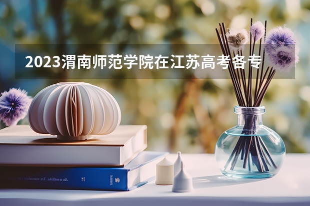 2023渭南师范学院在江苏高考各专业计划招多少人