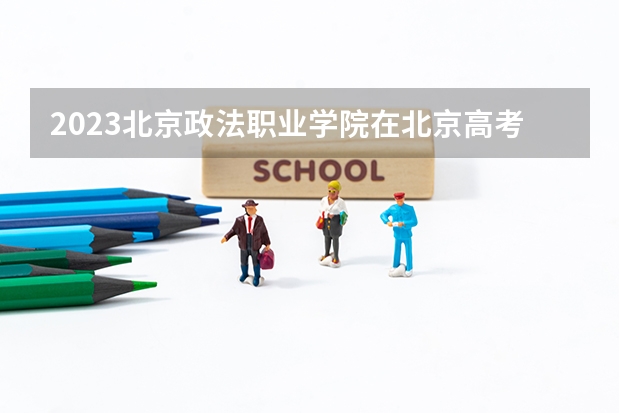 2023北京政法职业学院在北京高考各专业计划招多少人