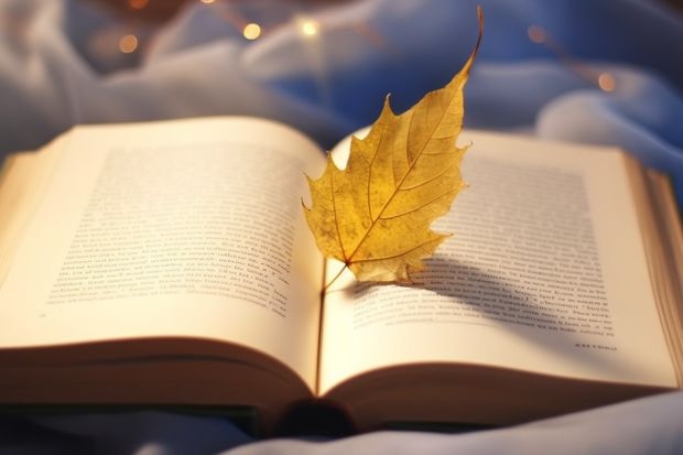 东北大学的在职研究生分数线是多少？