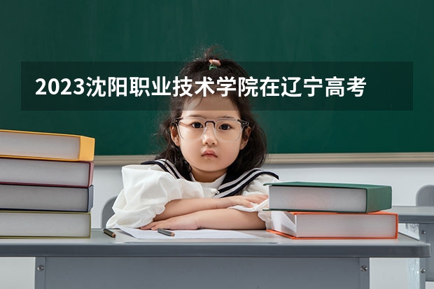 2023沈阳职业技术学院在辽宁高考各专业计划招多少人
