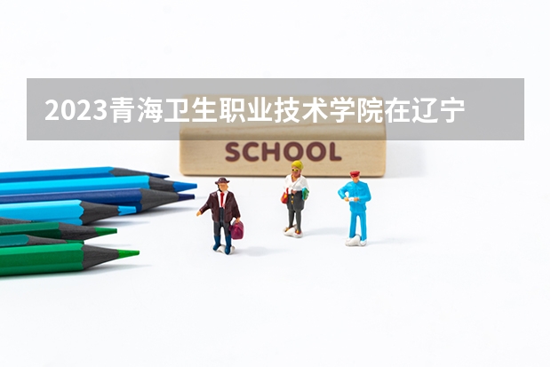 2023青海卫生职业技术学院在辽宁高考各专业计划招多少人
