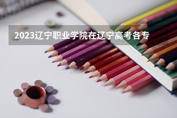 2023辽宁职业学院在辽宁高考各专业计划招多少人