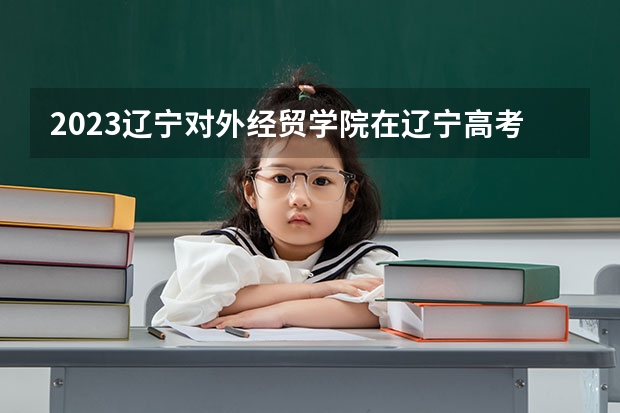 2023辽宁对外经贸学院在辽宁高考各专业计划招多少人