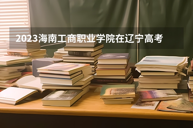 2023海南工商职业学院在辽宁高考各专业计划招多少人