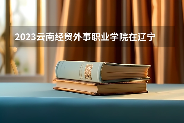 2023云南经贸外事职业学院在辽宁高考各专业计划招多少人