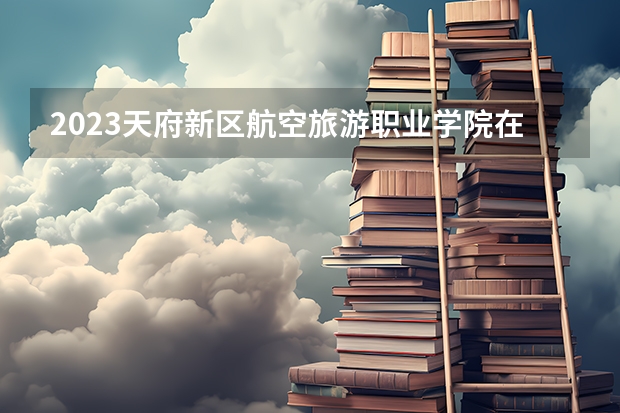 2023天府新区航空旅游职业学院在吉林高考各专业计划招多少人