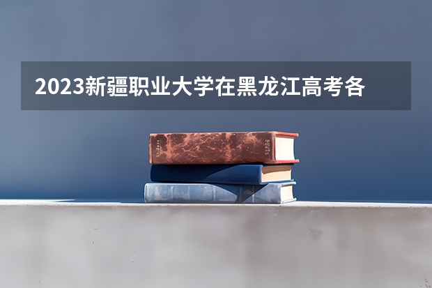 2023新疆职业大学在黑龙江高考各专业计划招多少人