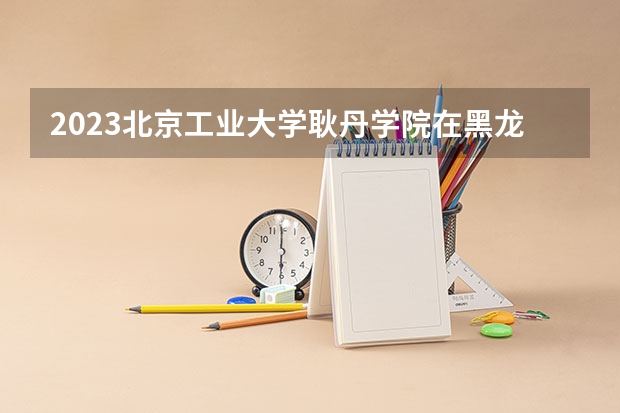 2023北京工业大学耿丹学院在黑龙江高考各专业计划招多少人