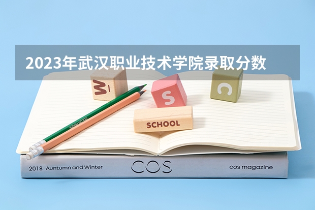 2023年武汉职业技术学院录取分数参考