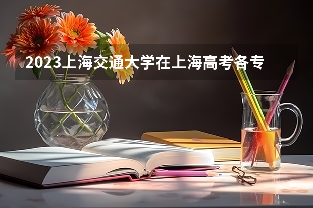 2023上海交通大学在上海高考各专业计划招多少人