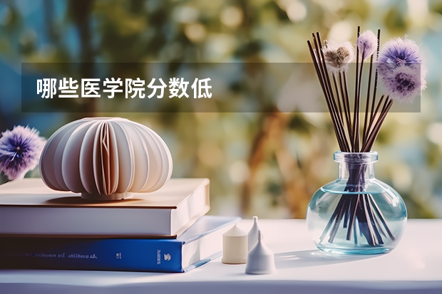 哪些医学院分数低