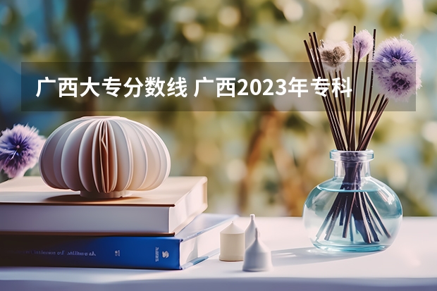 广西大专分数线 广西2023年专科投档线