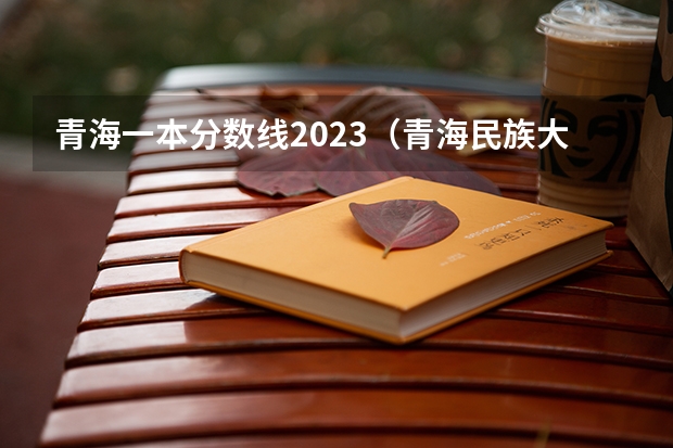 青海一本分数线2023（青海民族大学分数线）