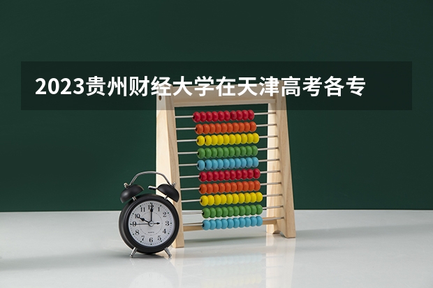 2023贵州财经大学在天津高考各专业计划招多少人