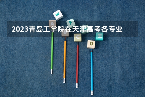 2023青岛工学院在天津高考各专业计划招多少人
