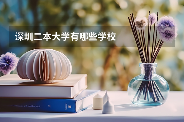 深圳二本大学有哪些学校