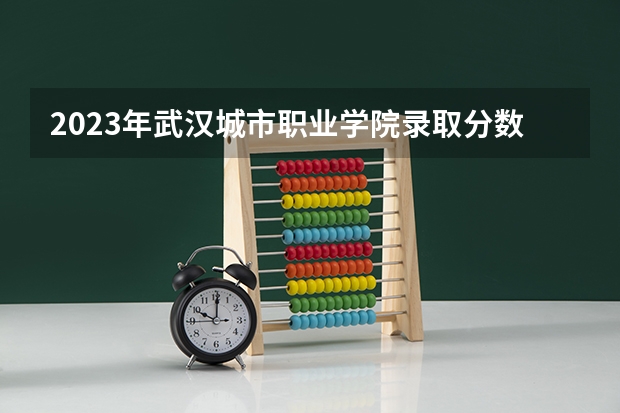 2023年武汉城市职业学院录取分数参考