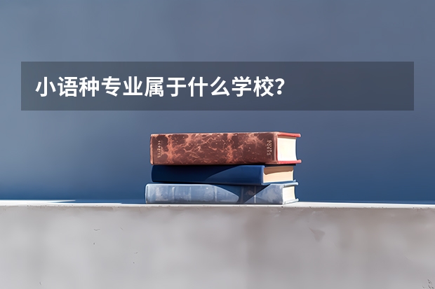 小语种专业属于什么学校？