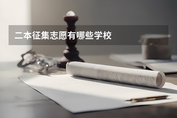 二本征集志愿有哪些学校