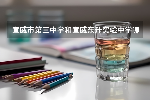 宣威市第三中学和宣威东升实验中学哪个好？