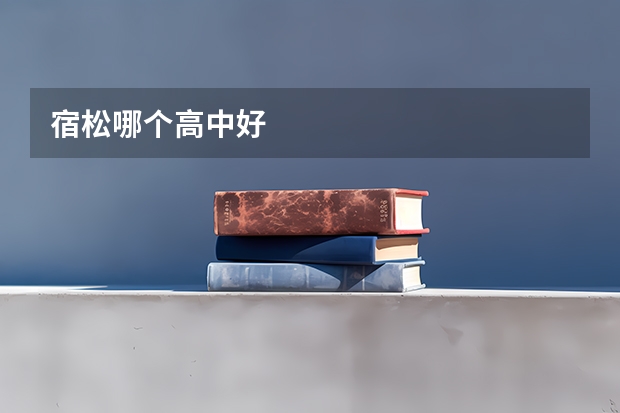 宿松哪个高中好