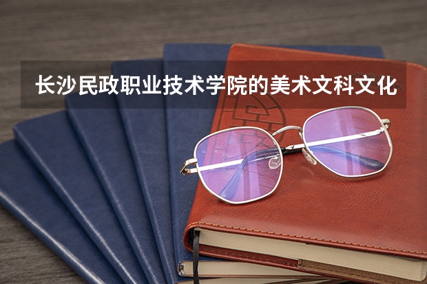 长沙民政职业技术学院的美术文科文化分数线是多少?急!