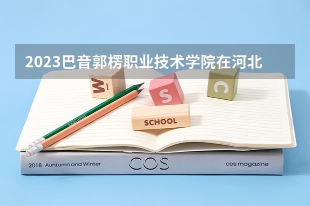 2023巴音郭楞职业技术学院在河北高考各专业计划招多少人