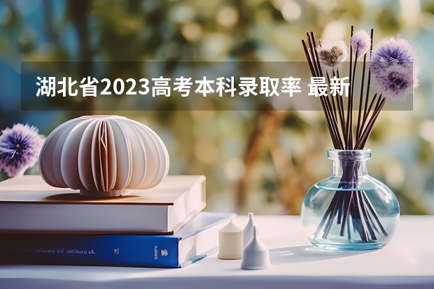 湖北省2023高考本科录取率 最新录取人数 广东省211录取率