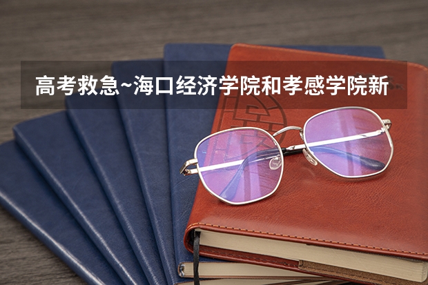 高考救急~海口经济学院和孝感学院新技术学院哪个好?