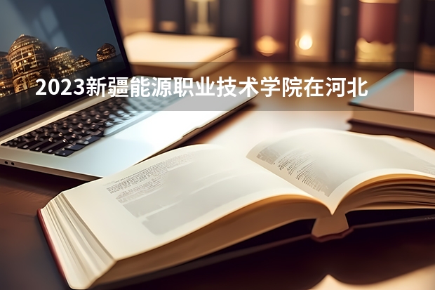 2023新疆能源职业技术学院在河北高考各专业计划招多少人
