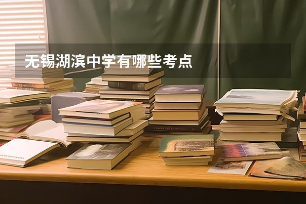 无锡湖滨中学有哪些考点