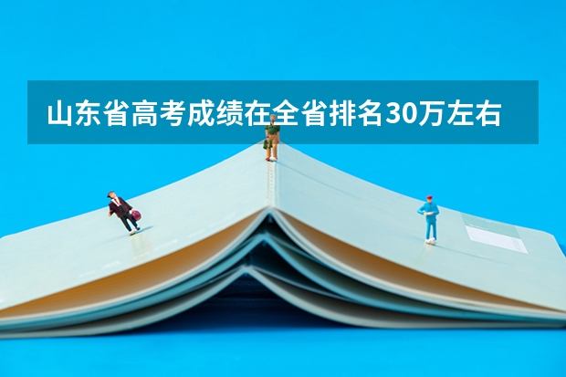 山东省高考成绩在全省排名30万左右能上什么大学？