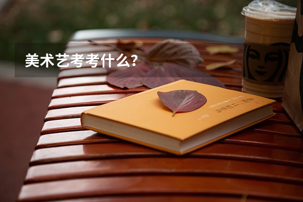美术艺考考什么？