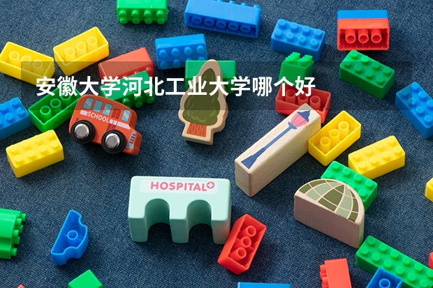 安徽大学河北工业大学哪个好