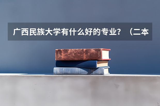 广西民族大学有什么好的专业？（二本文史类的）