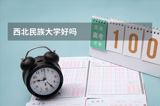 西北民族大学好吗