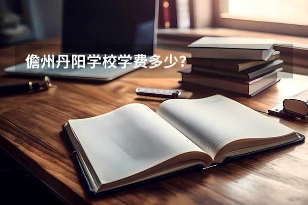 儋州丹阳学校学费多少？