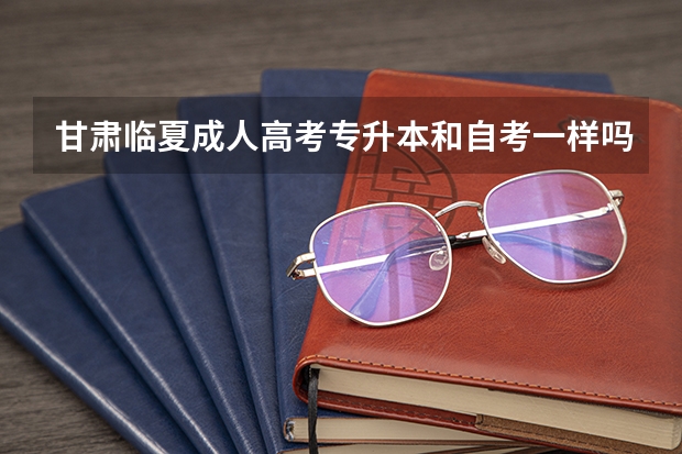 甘肃临夏成人高考专升本和自考一样吗？