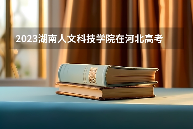2023湖南人文科技学院在河北高考各专业计划招多少人