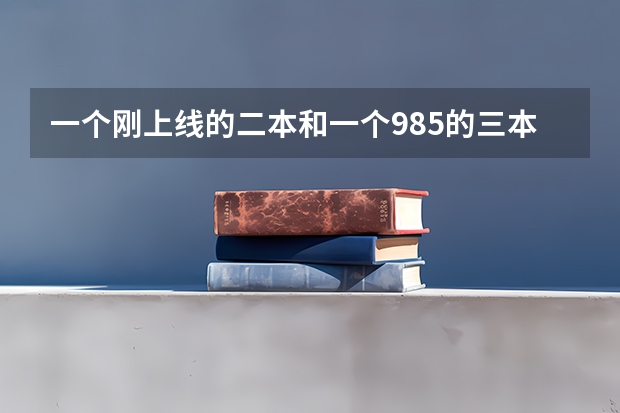 一个刚上线的二本和一个985的三本哪个更好？尤其是考研率和学术氛围，师资力量，就比如榆林学院和天津