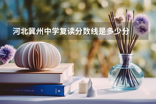 河北冀州中学复读分数线是多少分
