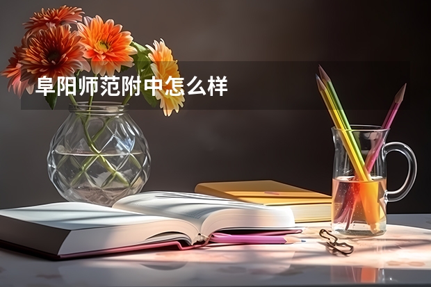 阜阳师范附中怎么样