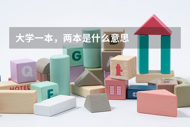 大学一本，两本是什么意思