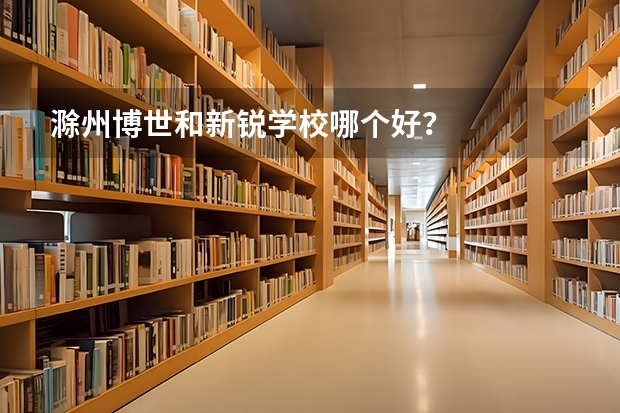 滁州博世和新锐学校哪个好？