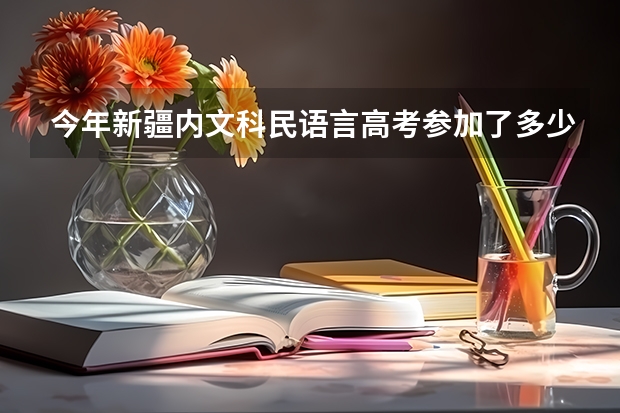 今年新疆内文科民语言高考参加了多少人