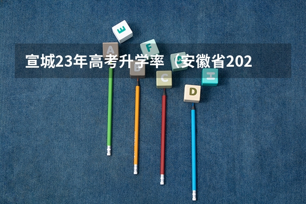 宣城23年高考升学率（安徽省2024年高考文理科人数）
