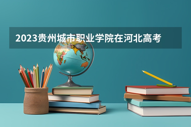 2023贵州城市职业学院在河北高考各专业计划招多少人