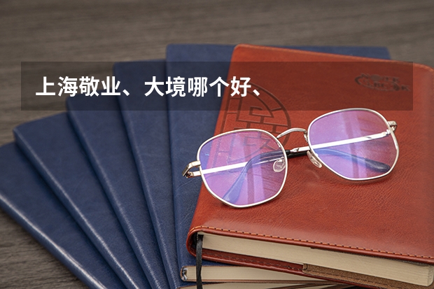 上海敬业、大境哪个好、