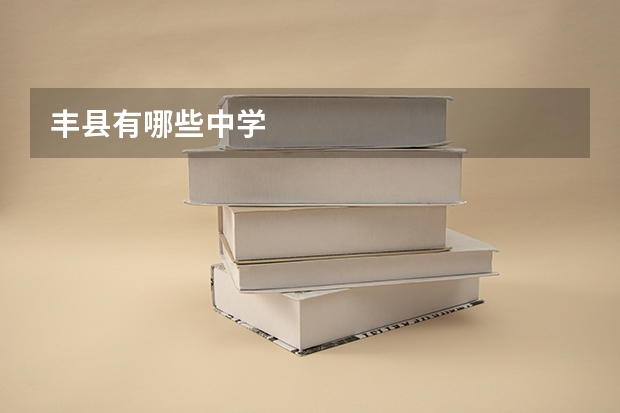 丰县有哪些中学